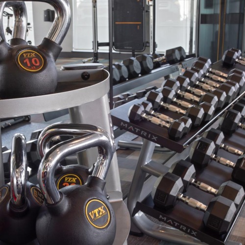 a row of exercise machines